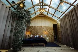 Glass Tree House Sainj - Shangarh