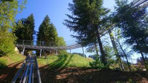 Chalets Les pagotins de Garance, Chalet chaleureux Chat Gris, cosy et classe 3 etoiles : photos des chambres