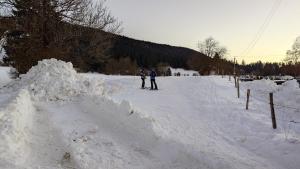 Chalets Les pagotins de Garance, Chalet chaleureux Chat Gris, cosy et classe 3 etoiles : photos des chambres