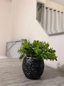 مدينتي - Madinaty Green Cozy