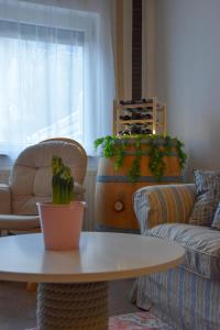 Four Season Thermal Apartman