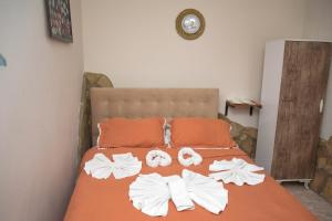 Deluxe Double Room room in Anz Guest House