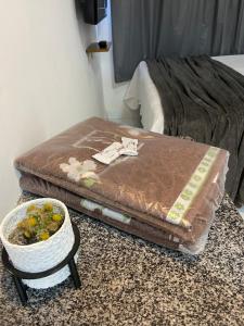 Flat Moderno e Climatizado I - Próximo ao centro