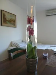 Lunigiana Studio - Merizzo