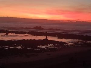 Cachinnans Hostel & Apartments