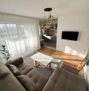 Riverside - 斯雷姆斯卡米特罗维察