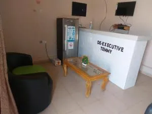 Executive Temmy Guest House - Ogijo