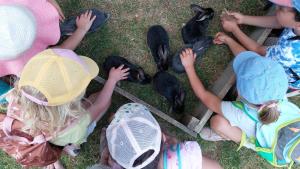 Campings Roulotte a la ferme : photos des chambres