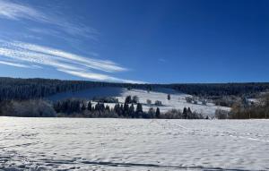 Apartmán Nové Hutě Šumava