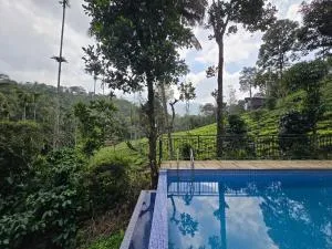 Vythiri hill palace - Vythiri