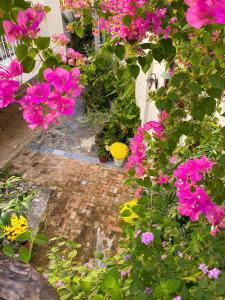 DƯỚI TÁN CÂY homestay