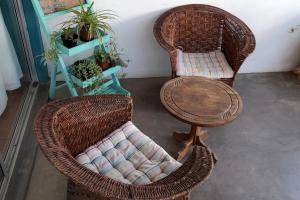 Cozy arty apartment in walking distance of CBD