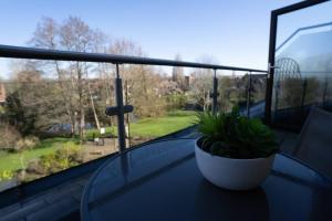 Surrey Hills Escape: Riverside Walks & Quick Links