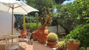 Casa Cerenova between sea history and nature