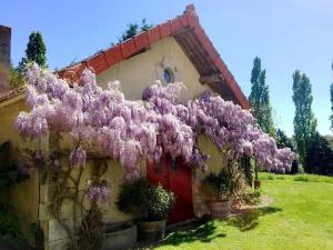 Maisons de vacances Domaine de la Vaure : photos des chambres