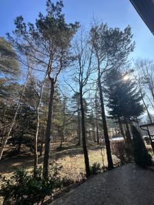 Micic Apartment 1 Divcibare