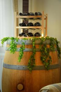 Four Season Thermal Apartman