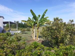 B&B / Chambres d'hotes Oceane : photos des chambres