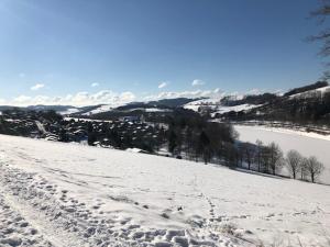 Ferienhaus am Hennesee