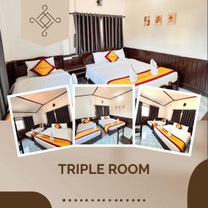 Jungle Backpackers View