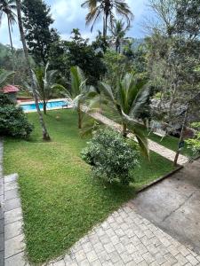 Mahogany by Exuberance Stays