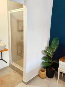 De Nachte Guest Suites