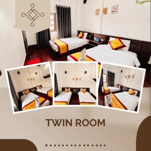 Jungle Backpackers View