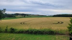 Petite Maison - Domaine la Vaure