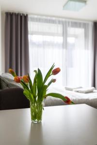 12 min Centrum, 200Mb WIFI, Onsite Supermarket