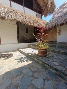 El Paraiso de Carmen