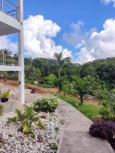 The Willow Apartment