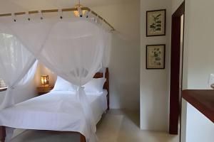 Licuri Praia de Algodões à poucos passos do mar.