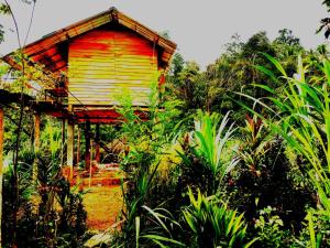 Aqua Cabins - Ubytování bez kategorie ve městě Kitulgala