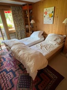 Magnifique Chalet Gstaadt