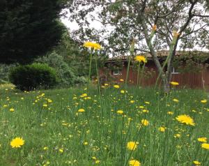 Gîte des Graves de Lilou