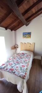 Cèdres Bleus de Joany chez Nathalie