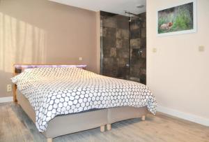 House with Sauna near center - 200 m²