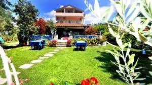 Studio Aggelos Toroni - Toroni