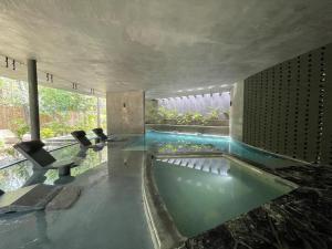 tribu 204 Jungle experience ambience