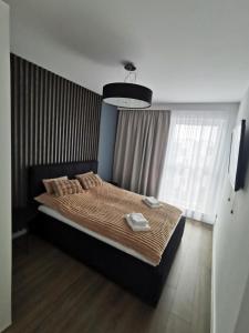 ZDROJOWA POLANA Apartamenty