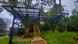 Cabaña VI Moderna y Memorable Corotú Garden