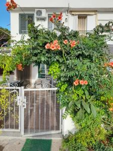 Appartamento in spiaggia img1