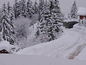 Appartements Appartement cosy a Courchevel, 5 pers, terrasse - FR-1-514-85 : photos des chambres