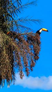 Casa em Miguel Pereira