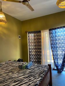 Bougainvillea nungwi zanzibar