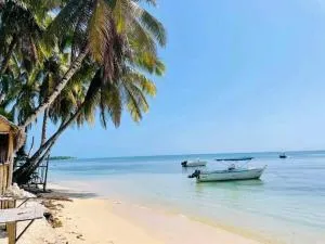 La Bonne Aventure - Analabe