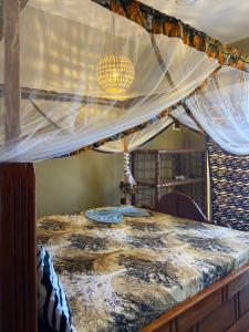 Bougainvillea nungwi zanzibar