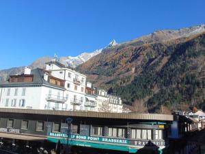 Studio convivial en zone piétonne avec animaux admis, balcon - Chamonix - FR-1-517-23