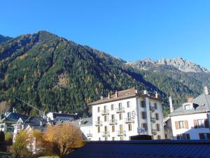Studio convivial en zone piétonne avec animaux admis, balcon - Chamonix - FR-1-517-23