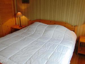 Charmant 3 pièces avec terrasse, parking, 6 couchages - Chamonix - FR-1-517-38